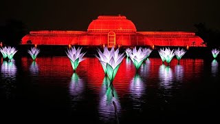 Eine Million LEDs: Kew Gardens präsentiert neuen Weihnachtslichterpfad