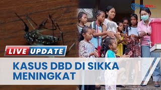 Ratusan Warga Sikka Terjangkit DBD,  Kadinkes Petrus: Penularan Paling Banyak di Lingkungan Sekolah