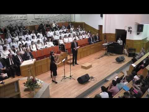 Nicu Ros - Calea Dragostei