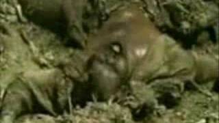 Böhse Onkelz - Schöne neue Welt