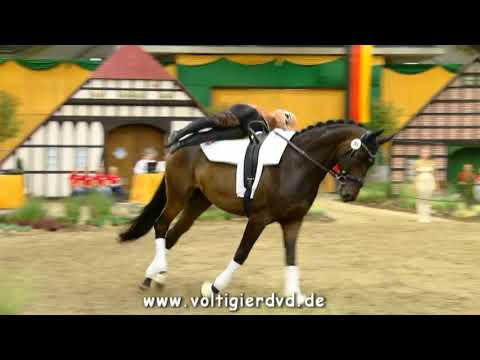 Britta Stork - Damen 25 - DMV Verden 2017