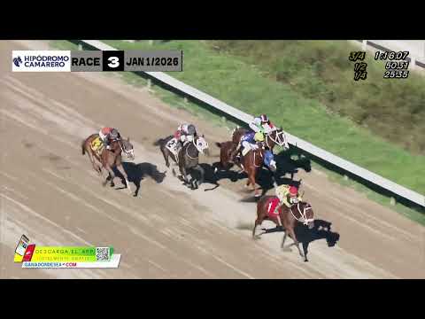RACE 3 - 1/JANUARY/2026 (PYTHAGORAS)