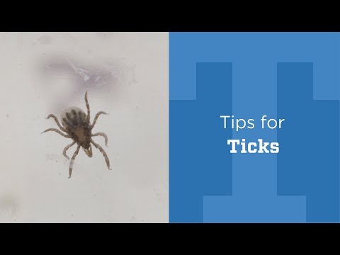Learn About Ticks and Lyme Disease Prevention