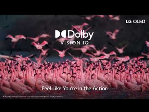 Back friday LG OLED A1 Series 48” Alexa Built-in 4k Smart TV🤭896$ 😱