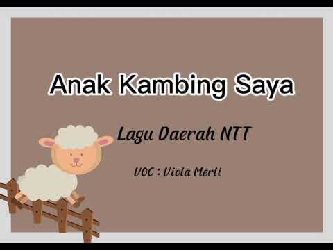 Anak Kambing Saya - Lagu Daerah NTT by Viola Merli