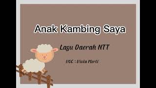 Download lagu Anak Kambing Saya - Lagu Daerah NTT by Viola Merli mp3