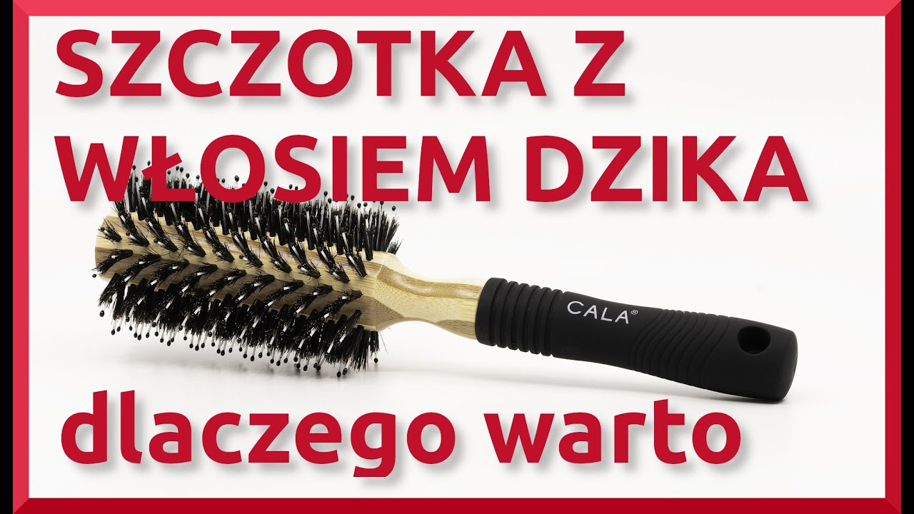 SZCZOTKA Z WŁOSIEM DZIKA - dlaczego warto używać do włosów czy do brody.