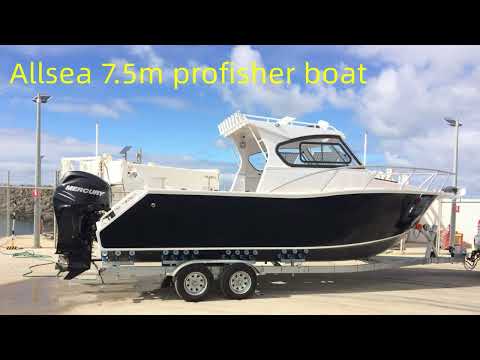 7.5m profisher open door cabin boat