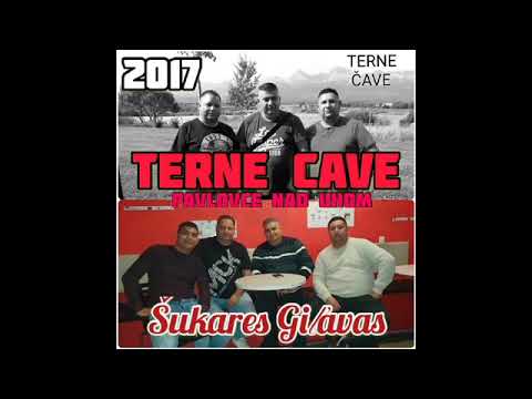 PAVLOVCE TERNE CAVE 65 - SUKARES GILAVAS   rok 2017