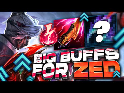 ZED TIMES BABY | Sertuss