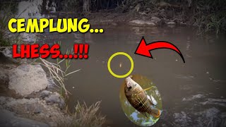 Download lagu Mancing Kumbul Ngetrik Terbaru - Umpan Cacing, Pelampung Cabe Goyang Terus mp3