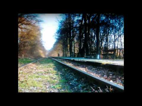 Prezentarea liniei 309 Oradea - Băile Felix - Cordău și a companiei TFC [HD]