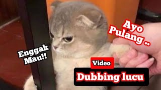 Download lagu ๐ฉ๐๐ฅ๐๐! ๐๐๐บ๐ฝ๐๐น๐ฎ๐ป ๐ฑ๐๐ฏ๐ฏ๐ถ๐ป๐ด ๐ธ๐๐ฐ๐ถ๐ป๐ด ๐น๐๐ฐ๐ ๐ฏ๐ฎ๐ป๐ด๐ฒ๐ ๐ฏ๐ถ๐ธ๐ถ๐ป ๐ธ๐ฒ๐๐ฎ๐๐ฎ ๐ป๐ด๐ฎ๐ธ๐ฎ๐ธ mp3 Download lagu ๐ฉ๐๐ฅ๐๐! ๐๐๐บ๐ฝ๐๐น๐ฎ๐ป ๐ฑ๐๐ฏ๐ฏ๐ถ๐ป๐ด ๐ธ๐๐ฐ๐ถ๐ป๐ด ๐น๐๐ฐ๐ ๐ฏ๐ฎ๐ป๐ด๐ฒ๐ ๐ฏ๐ถ๐ธ๐ถ๐ป ๐ธ๐ฒ๐๐ฎ๐๐ฎ ๐ป๐ด๐ฎ๐ธ๐ฎ๐ธ mp3