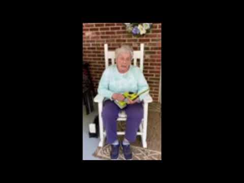 Sun Joe Cordless Handheld Shrubber - Paddie's Pointer