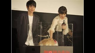 【興奮】「鋼の錬金術師」大ファン本田翼、ファンイベントに出席