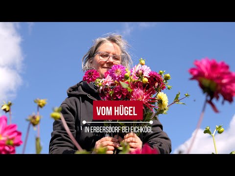 Vom Hügel in Erbersdorf bei Eichkögl | Styria | Austria | vulkantv.at