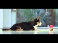 Dog Rap - I Get Bacon (Bass Boosted) 