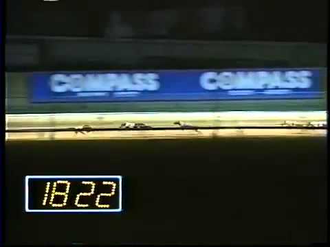 Highly Blessed 1990 Melbourne Cup