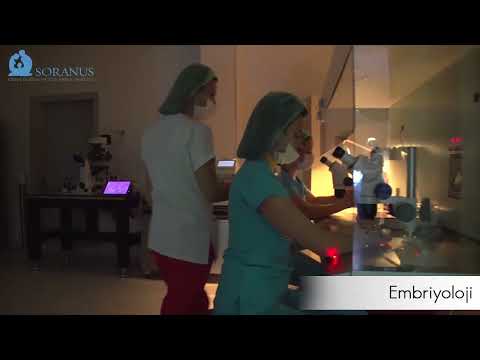 Welcome to Soranus IVF Center