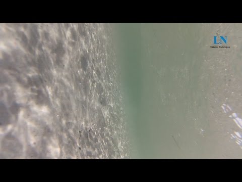 Lebensgefährlicher Badespaß in der Ostsee - DLRG-Retter sind genervt