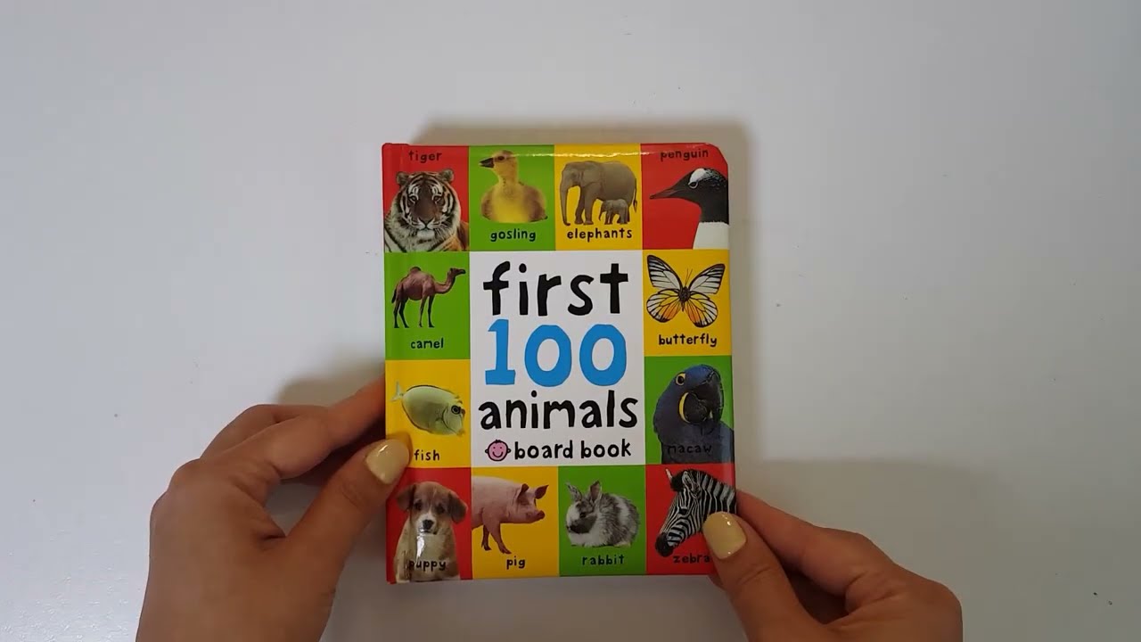 Book Reviews(Borad book_ First 100 animals)