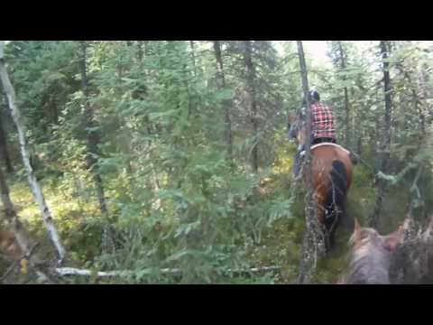 2012.08.11 Horseback Riding Chena, Alaka