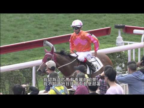[BMW Hong Kong Derby 2016] Joao Moreira has high opinion on Helene Paragon