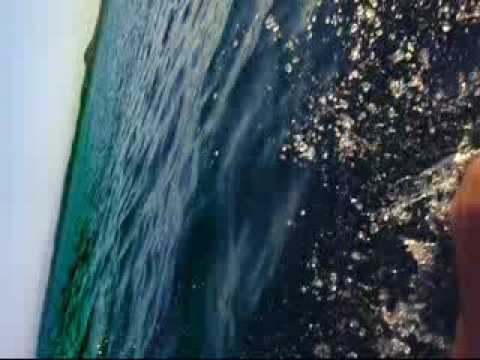 PE - Longest wave in the world!