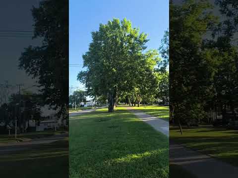 GENERAL MADARIAGA, PROVINCIA DE BUENOS AIRES, REPÚBLICA ARGENTINA.               #flete #lugares
