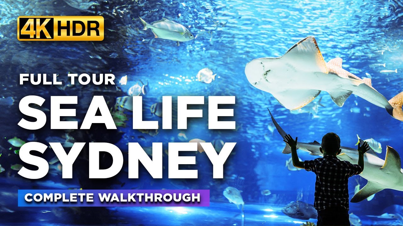 Embark on an immersive walking tour of SEA LIFE Sydney Aquarium.