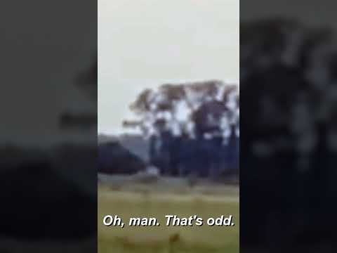 Shapeshifting Creature CAUGHT On Camera | Paranormal Caught on Camera | Travel Channel