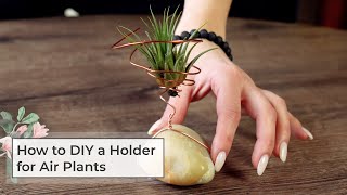 How to DIY a holder for air plants