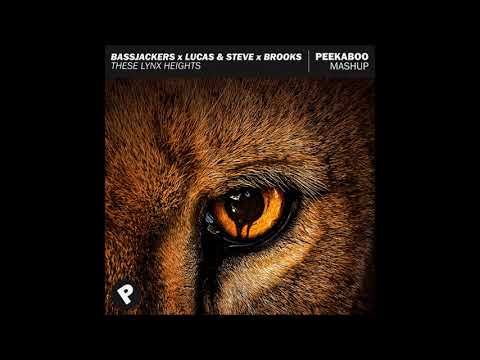 Bassjackers x Lucas & Steve x Brooks - These Lynx Heights (Peekaboo Mashup)