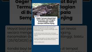 Potongan Jasad Bayi Tercecer di Bukittinggi, 3 Bagian Tubuh Ditemukan Terpisah, Korban Mutilasi?