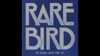 Download lagu Rare Bird  -  Hammerhead (1970)   Lyrics mp3 Download lagu Rare Bird  -  Hammerhead (1970)   Lyrics mp3