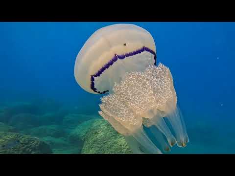 Dimensione H2O asd in Grotta Byron con Lorenzo e Daniele 13/8/2024