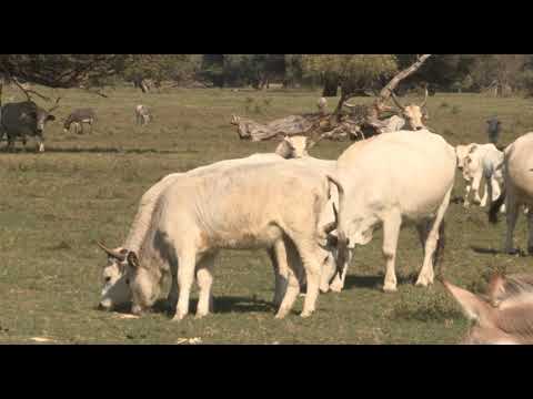 Može bolje ep. 80 15.10.2018. NAJAVA