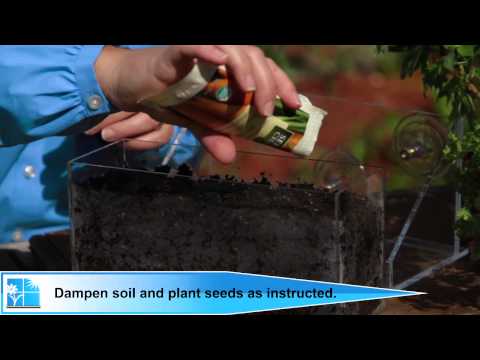 Living Ledge Vertical Garden Container - How to Grow From Seed