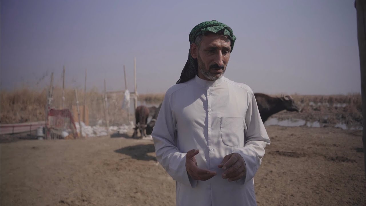 سيد رعد عن الحياة في الأهوار - Sayed Raad on Life in the Mesopotamian Marshlands