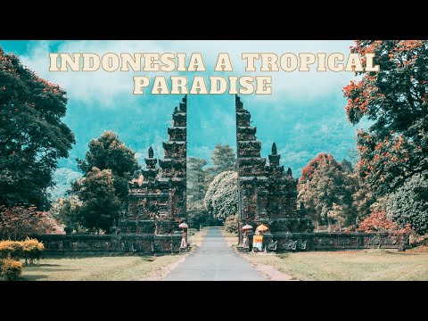 why you must visit Indonesia:  A Tropical Paradise