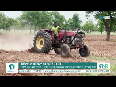 DBG to Invest $600M in Ghana’s Agriculture Value Chain Over 5 Years
