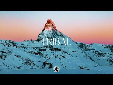 Zamdane X Djadja & Dinaz Type Beat - "TRIBAL" (Instru Rap Guitars 2024)