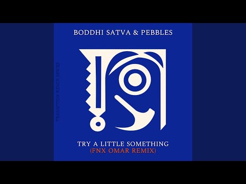 Try a Little Something (FNX Omar Remix)
