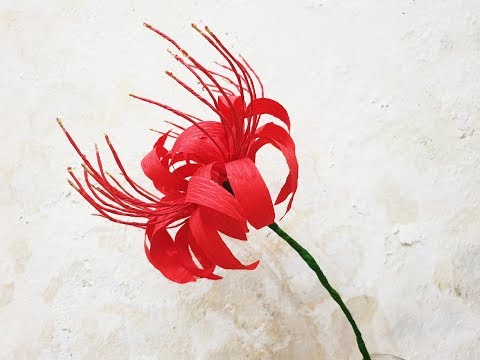 How To Make Red Spider Lily / Lycoris Radiata Flower - Làm Hoa Bỉ Ngạn Bằng GIấy Nhún