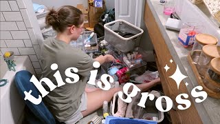 EXTREME Bathroom Declutter, Organize, and Refresh