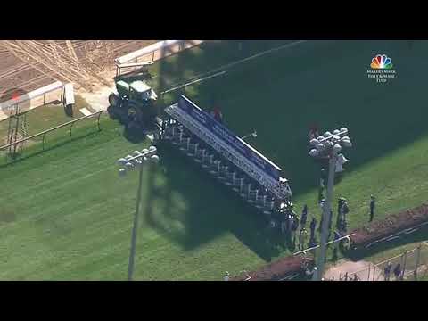 Breeders cup filly and mare turf - 2018