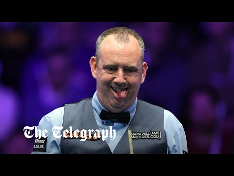 Wasp Causes Hilarious Havoc At Pro Pool (Snooker) Tournament