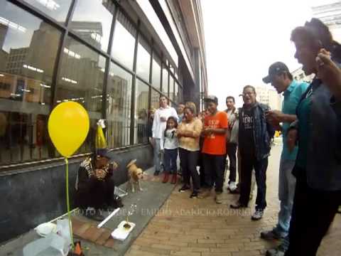 Que seamos felices todos