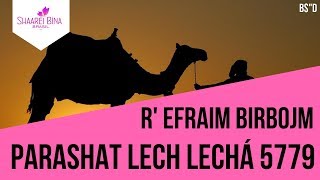 Parashat Lech Lechá
