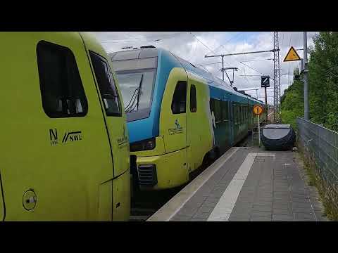 Westfalenbahn Flirt 3 als RE15 Naar Emden HBF